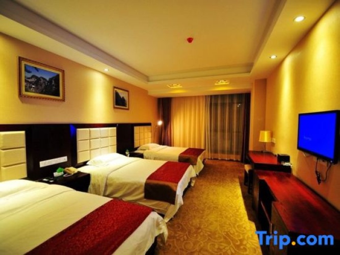 Deluxe Single room