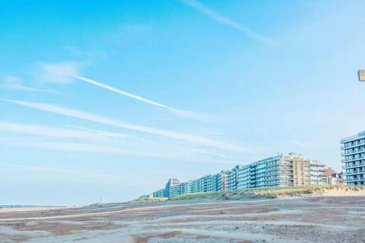 Ocean View Coastal Escape