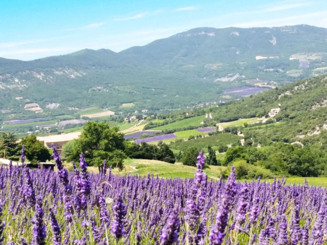 Le Buis (RSB101)