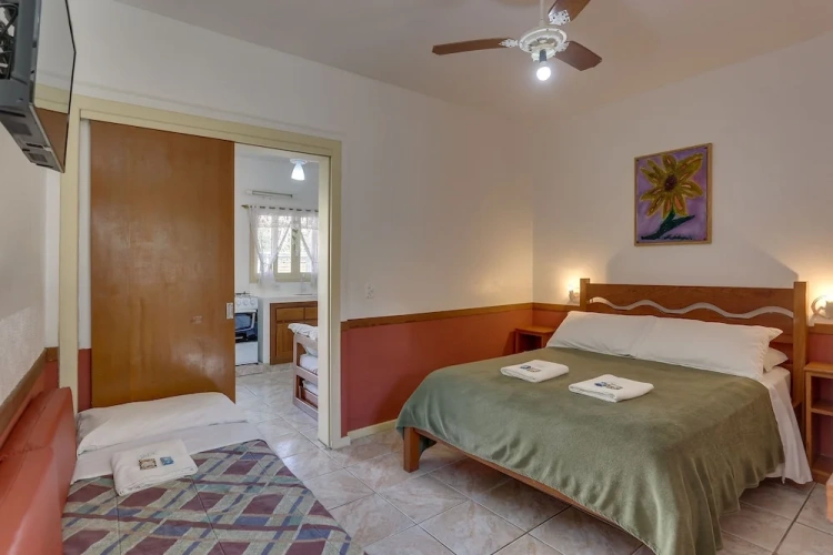 Classic Apartment