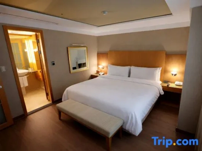 Executive Double Suite with city view