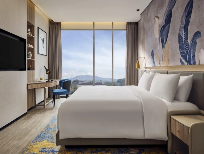 1 Bedroom Deluxe Suite with city view