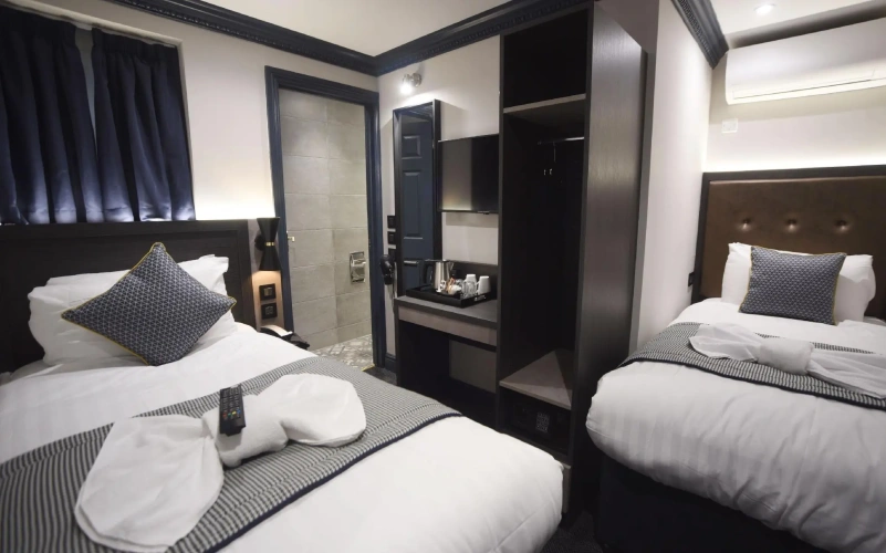 Deluxe Twin room