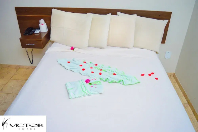 Victor Hotel