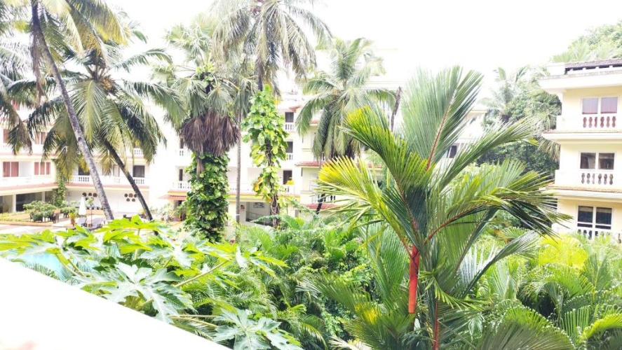Outside
