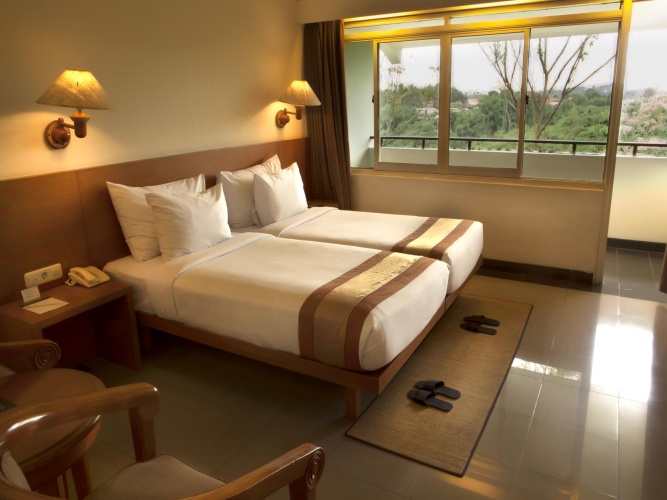 Deluxe Double room with balcony and with view