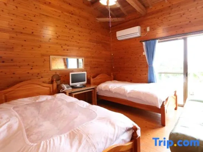 Standard Twin room with ocean view