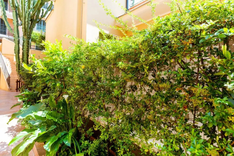 Villa Vallone Apartment