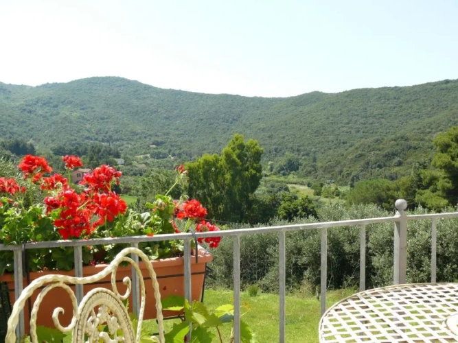 Standard Double room with view