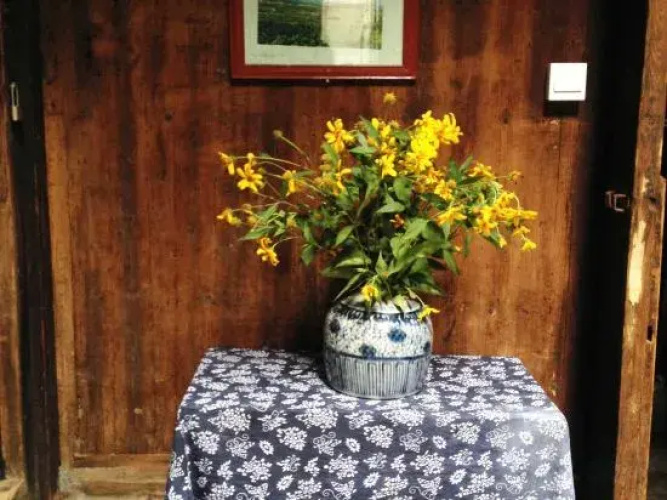 cottage house
