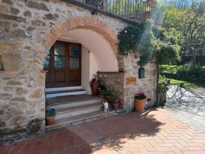 Studio with balcony and with view