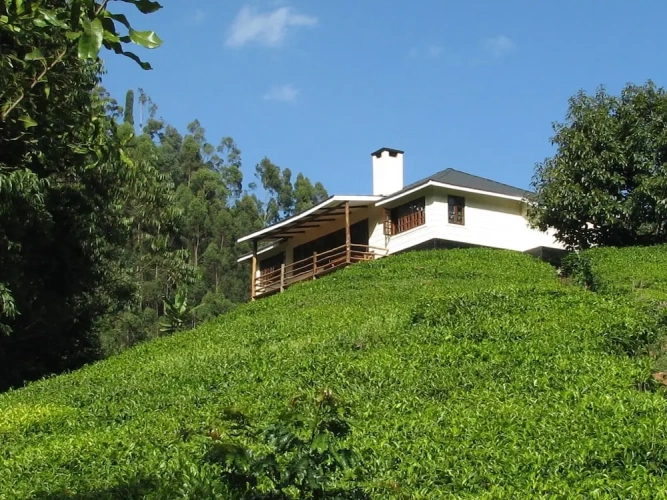 Cottage
