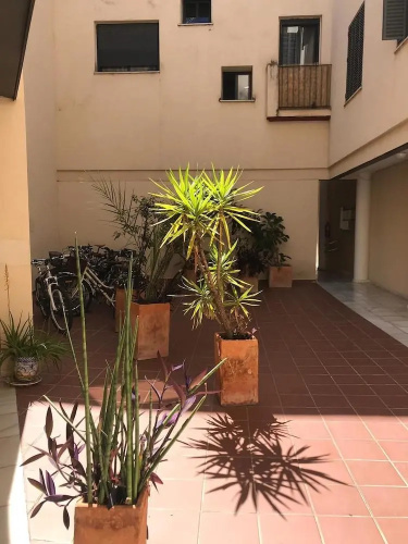 Wish Suite Alameda Bulevar