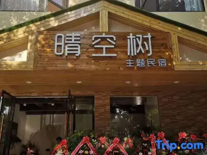 Xiaogan Qingkongshu Themed Homestay