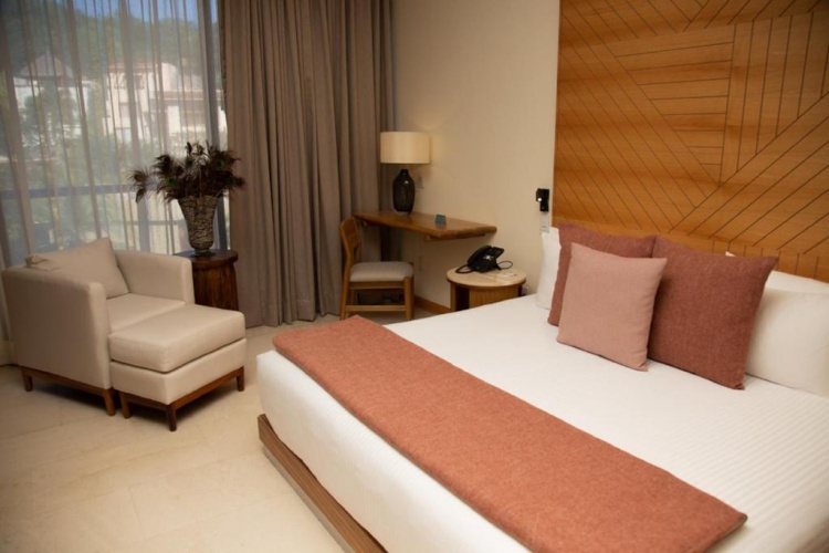 1 Bedroom Suite