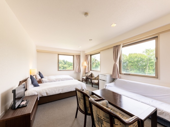 Deluxe Twin room