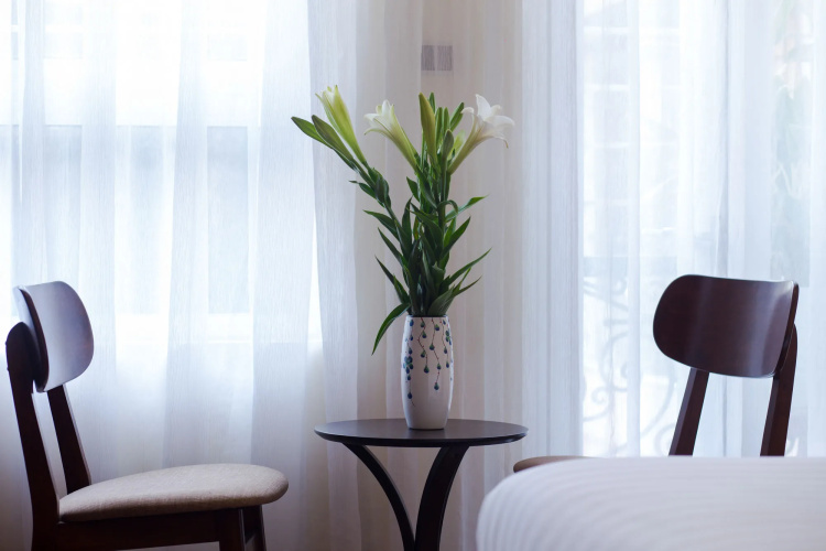 Classic Street Hotel