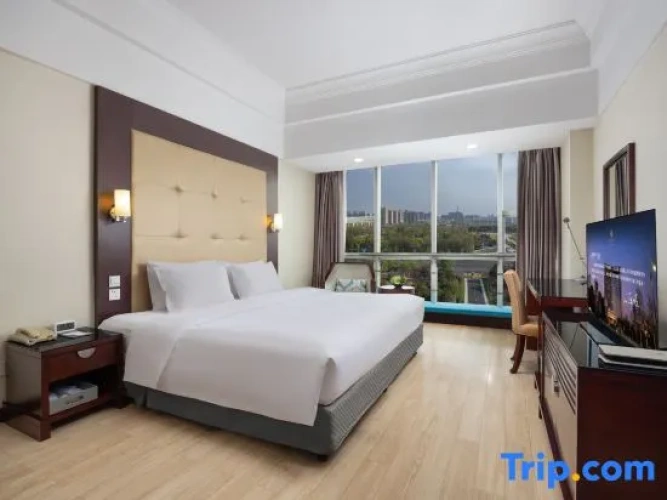 Double Family Suite