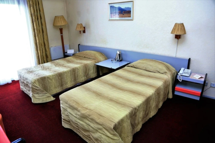 Standard Twin room with garden view