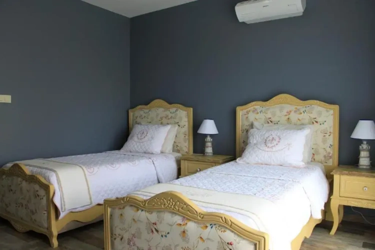 Standard Twin room with balcony and with garden view