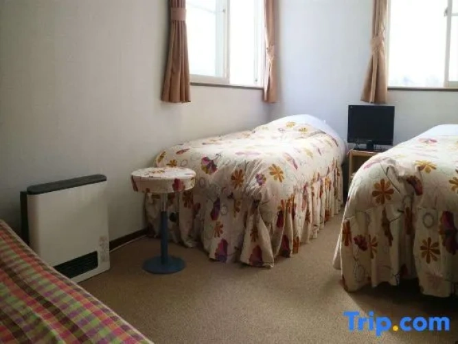 Standard Twin room with mountain view