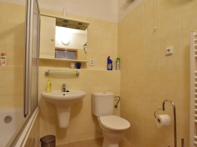 Modern Apartment in Podebrady Near River