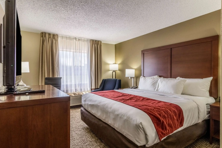 Standard Double room
