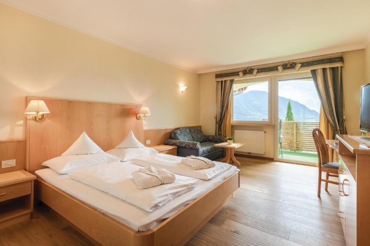 Standard Double room with balcony and with view