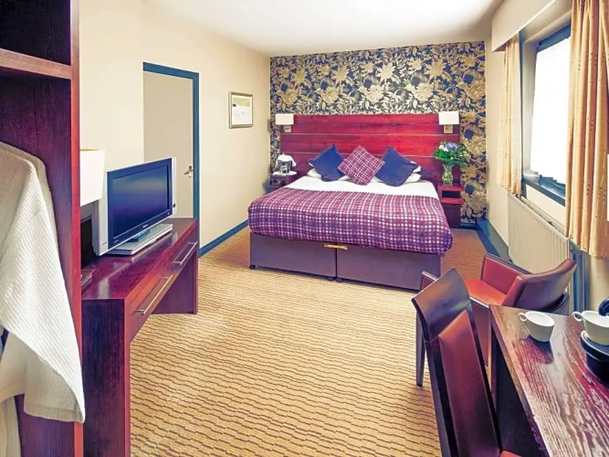 Superior Double Suite