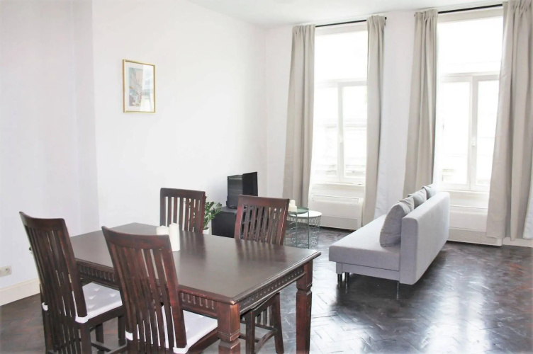 Traditional Modern Apartments