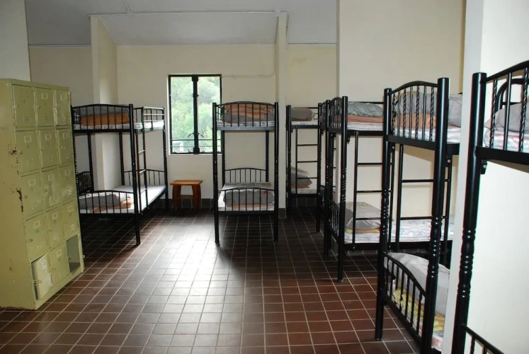 Bed in Dorm