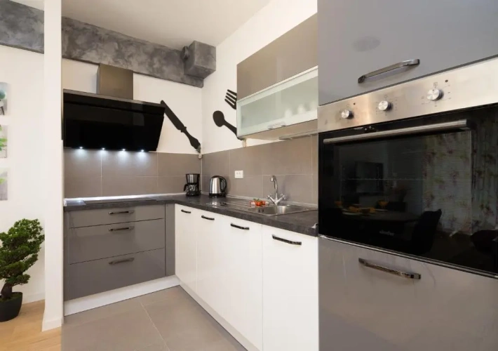 Luxury Apartment