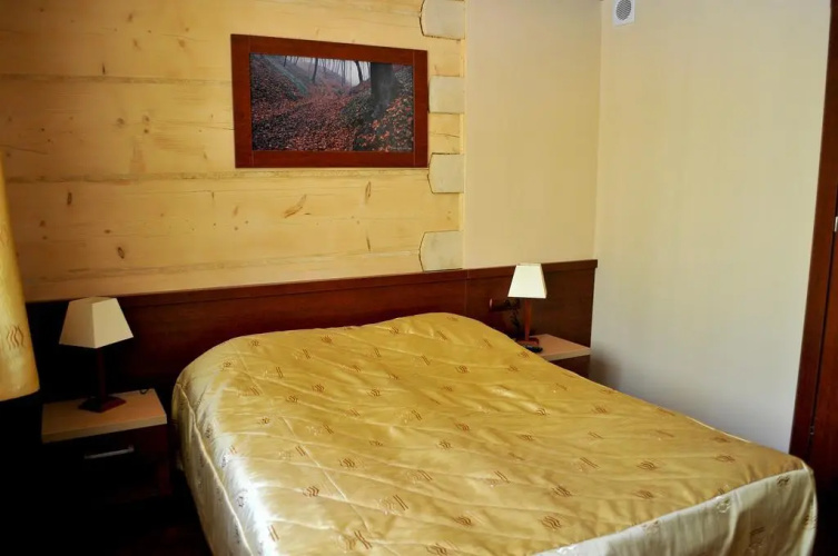 Hotel 365