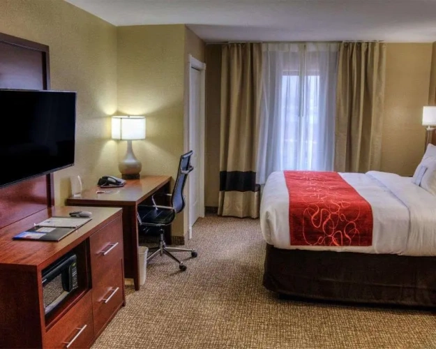 Quadruple Suite