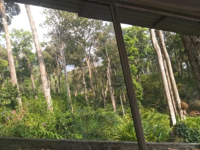 Woodpecker Resort