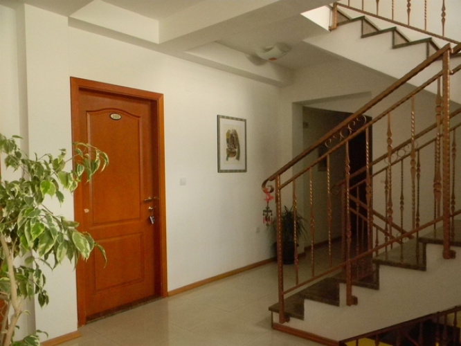Villa Kale- Guest House