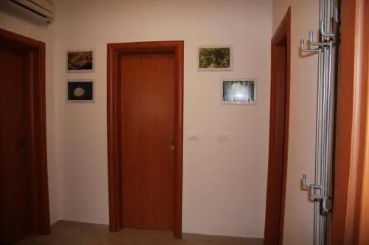 Apartment Anethum