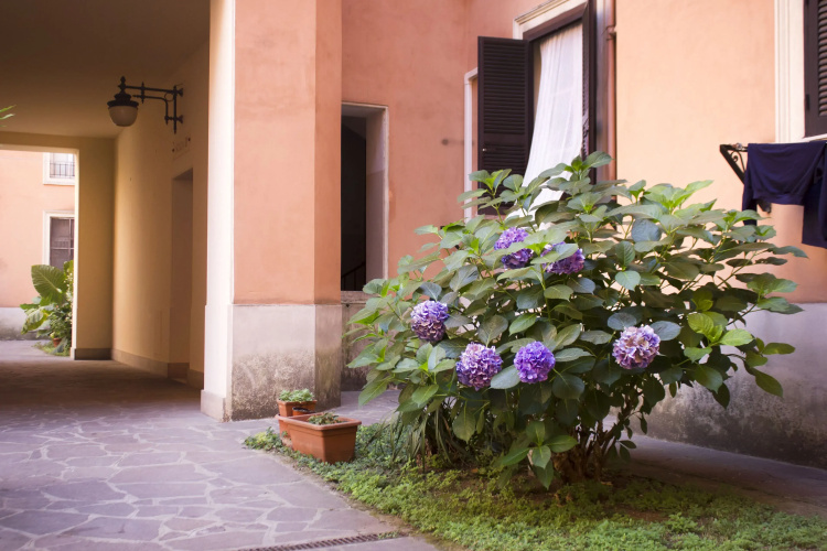 Casa Vacanze Vespucci