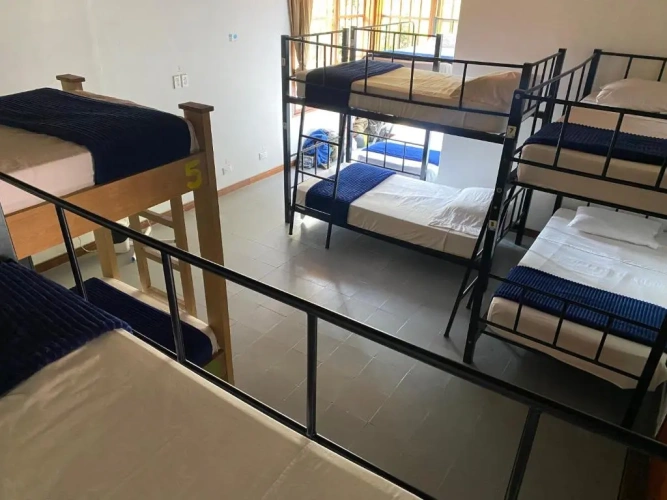 Bed in Dorm