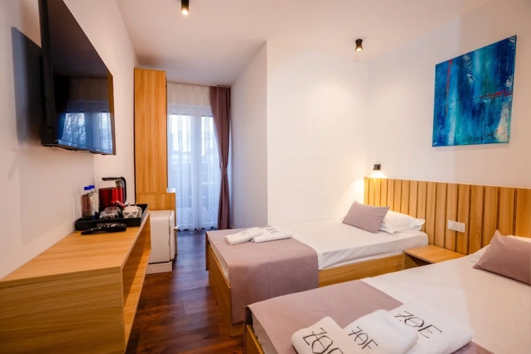 Deluxe Twin room with city view