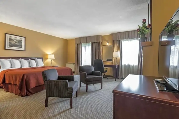 Suite