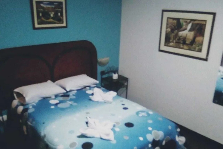 Paradise Hotel Benavides