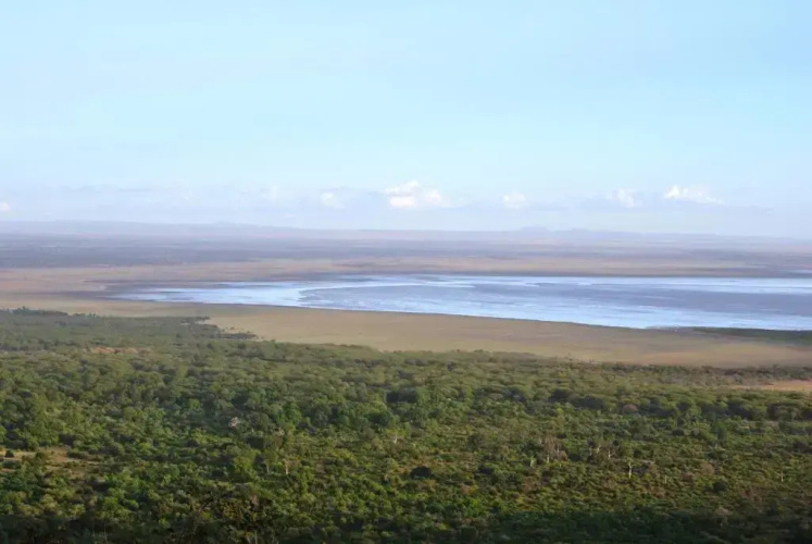 Panorama Safari Camp