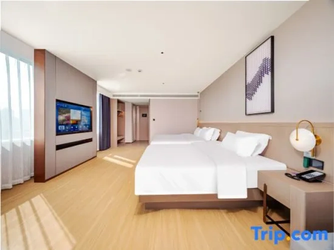 Standard Single Suite
