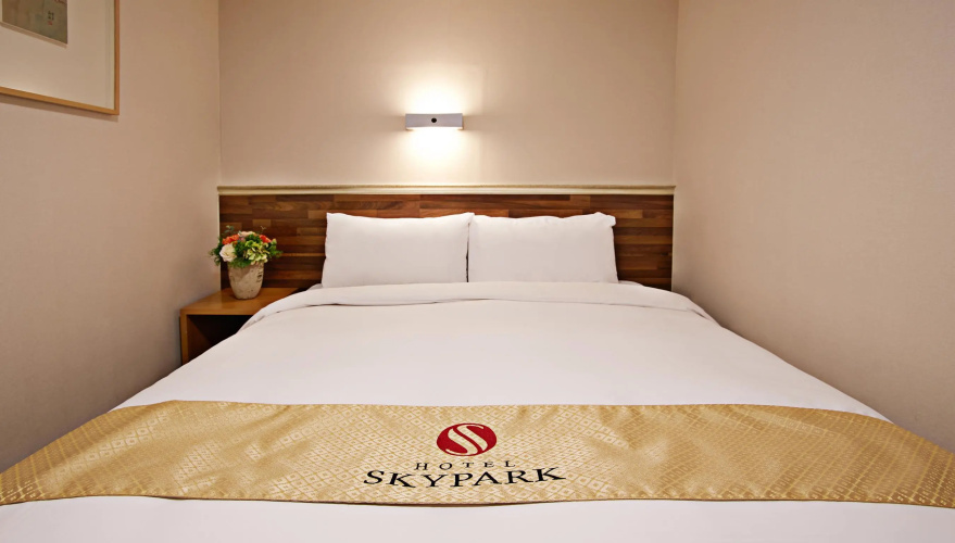 Hotel Skypark Myeongdong I Over view