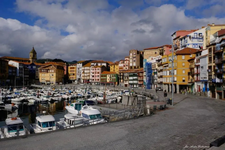 Sare Enea
