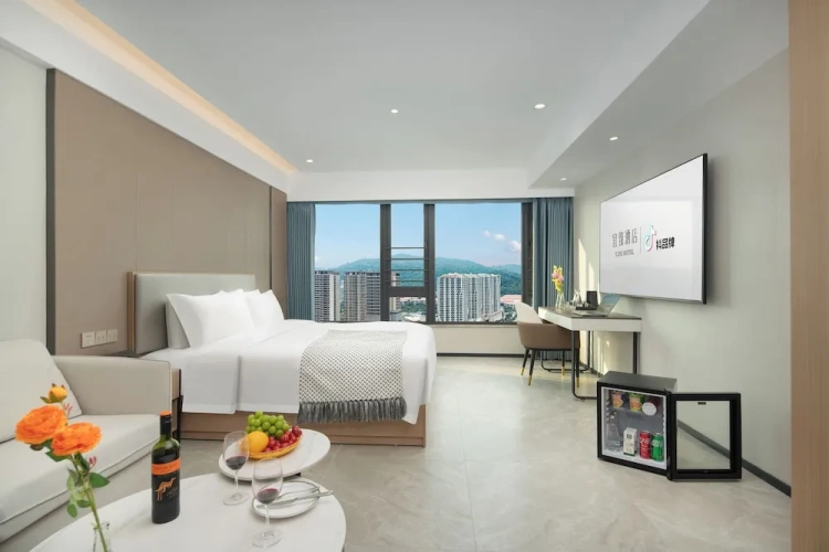 Luxury Double room with city view