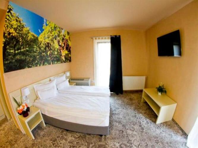 Pensiunea Sarea-N BucateOver view