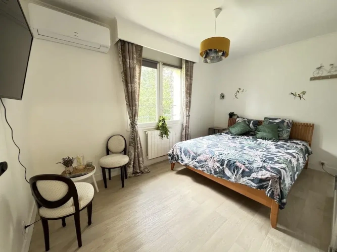 Standard Double room with river view