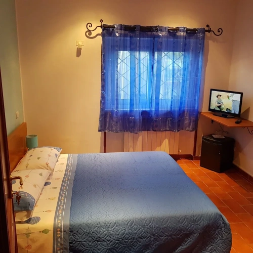 1 Bedroom Standard Basement room